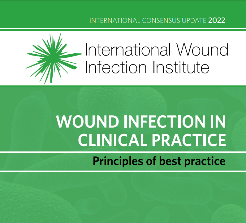 IWII Wound Infection Evolution Model and Management Guidance