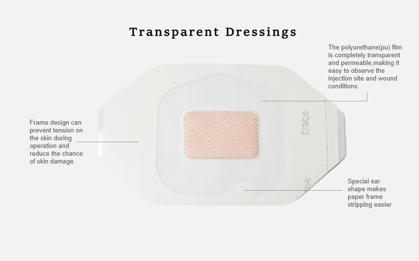 introduce transparent dressings 