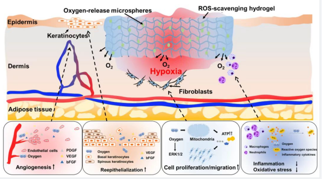 hydrogel dressing