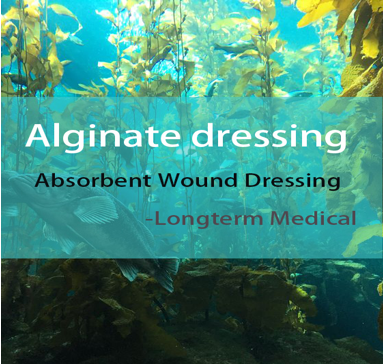 Alginate Dressing, Healing Light from the Deep Sea.