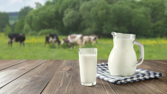 milk