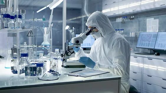 Oxymels show potential for modern wound care