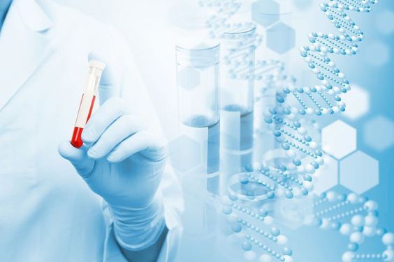 Ancient therapy oxymel shows potential for modern wound care