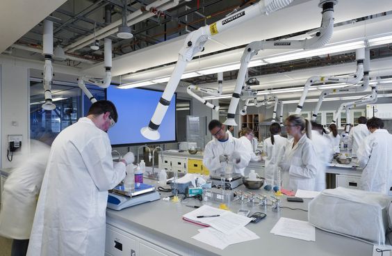 SolasCure's Phase IIa Clinical Trial Report: Opening a New Chapter in Wound Care