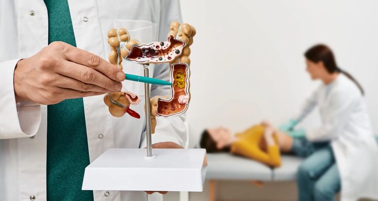 A Self-Help Guide to Gut Health