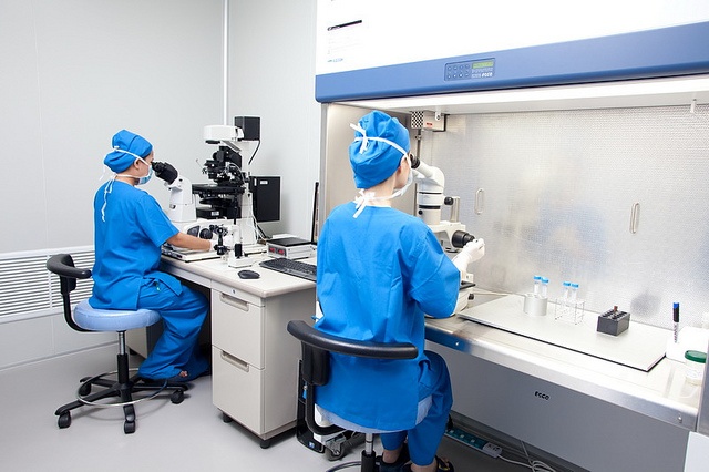 Genetically engineered skin transplants offer hope for patients with epidermolysis bullosa
