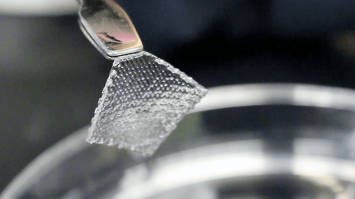 A novel mucus-inspired hydrogel has been developed, significantly improving the repair effect of gastric damage.