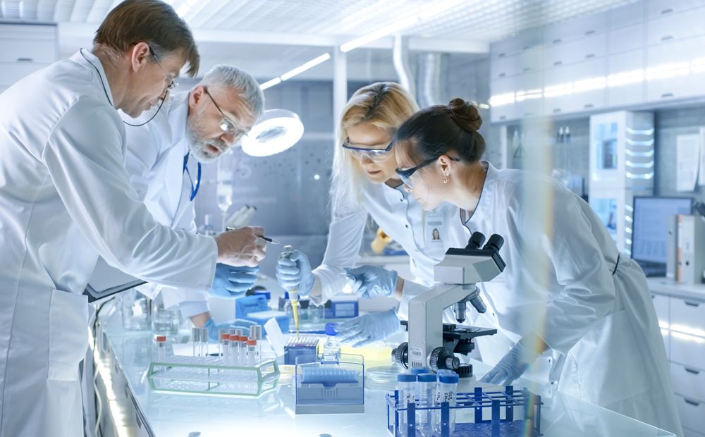 Targeting immune cell signals may lead to scarless healing.