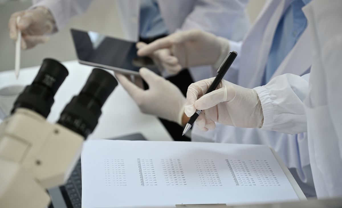 Artificial intelligence drives OCT imaging system to achieve accurate assessment of wound healing